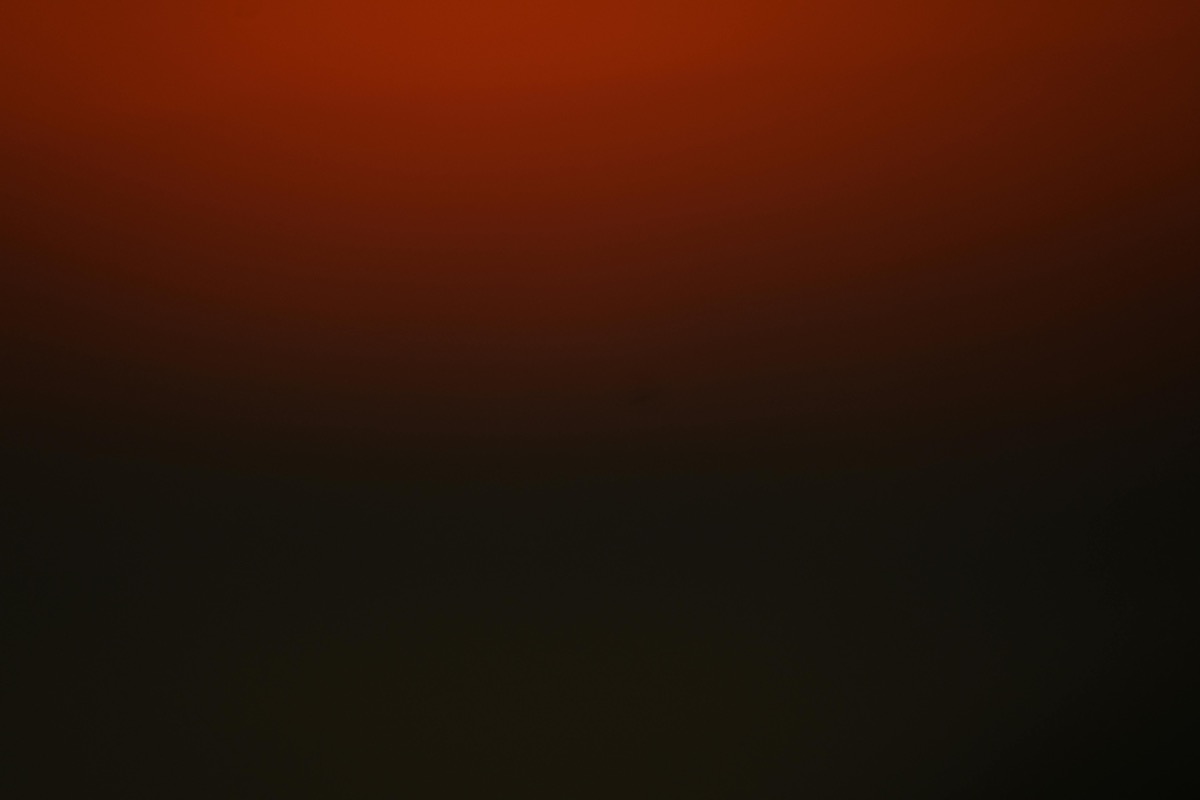 Ecommerce KPIs: The Metrics That Actually Matter