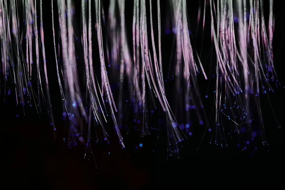 Psychological Pricing Strategies: The Science Behind the Price Tag